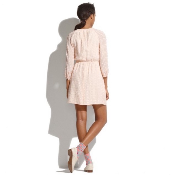 Blush Madewell Clipdot Dress - Picture 3 of 7